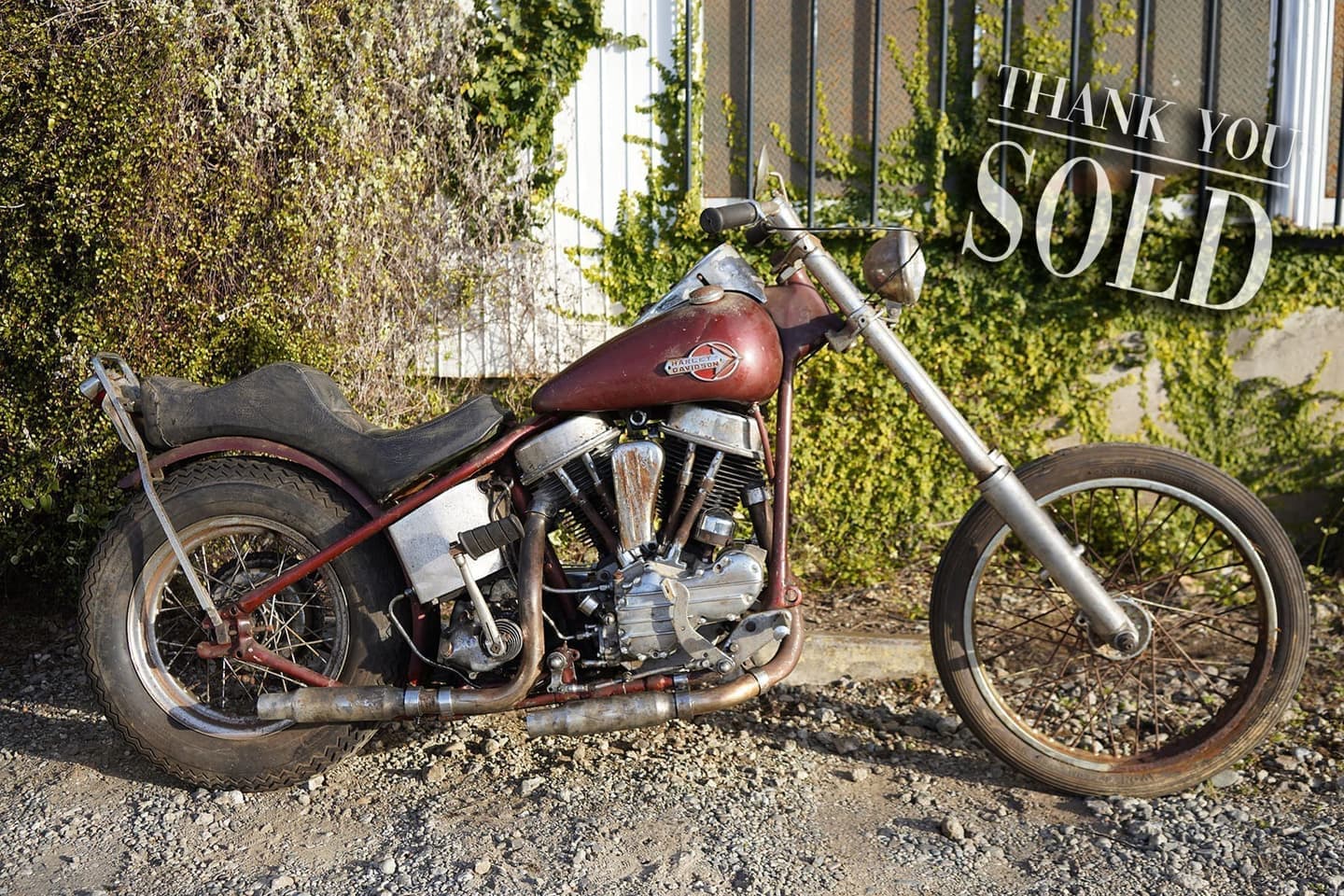 1953_panhead_survivor_chopper_