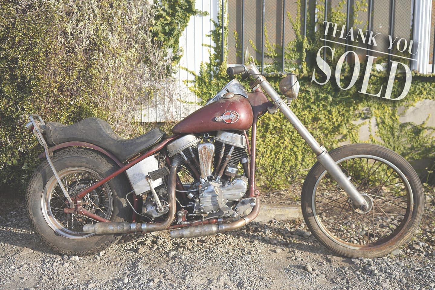 1953_panhead_survivor_chopper_