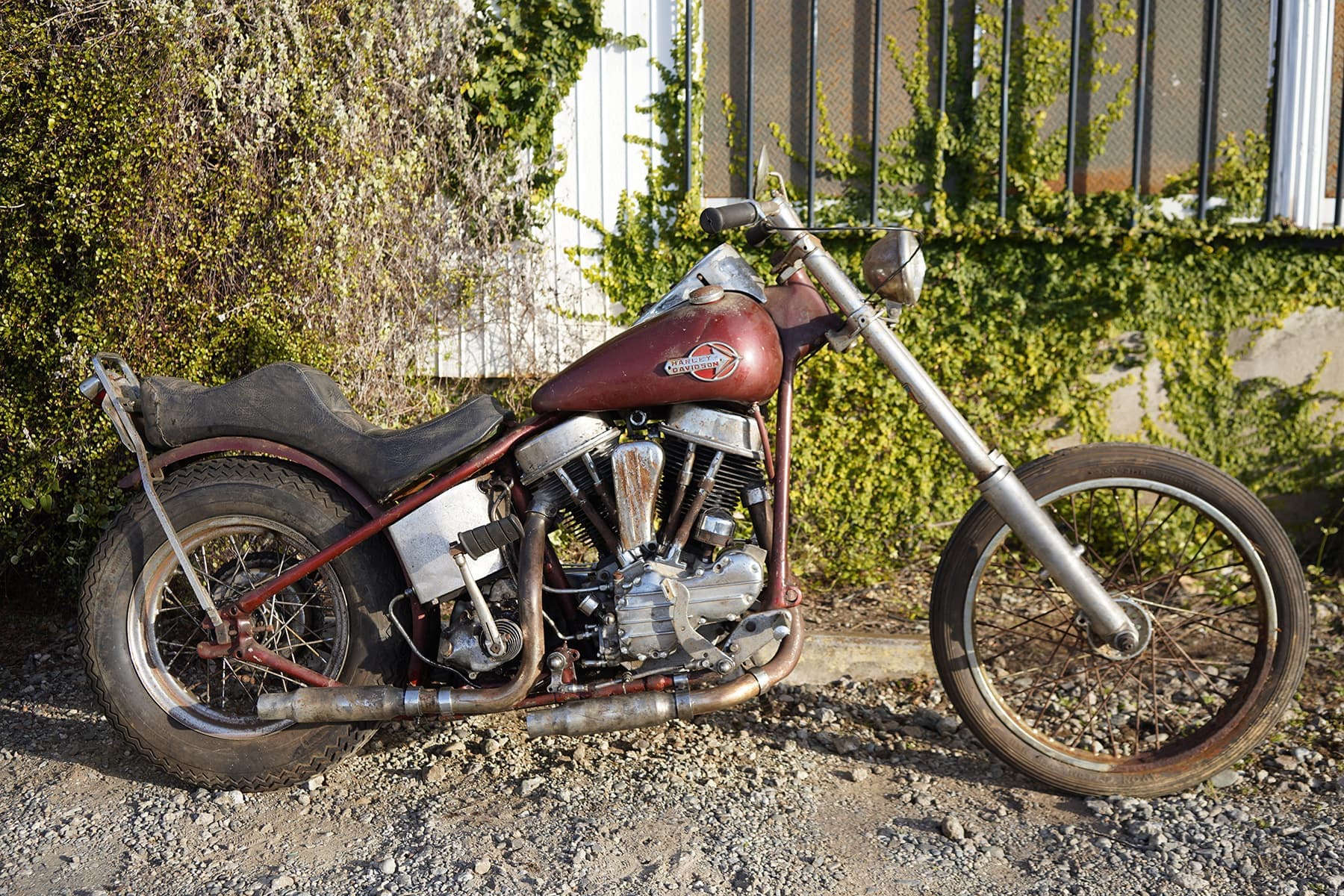 1953_panhead_survivor_chopper.jpg